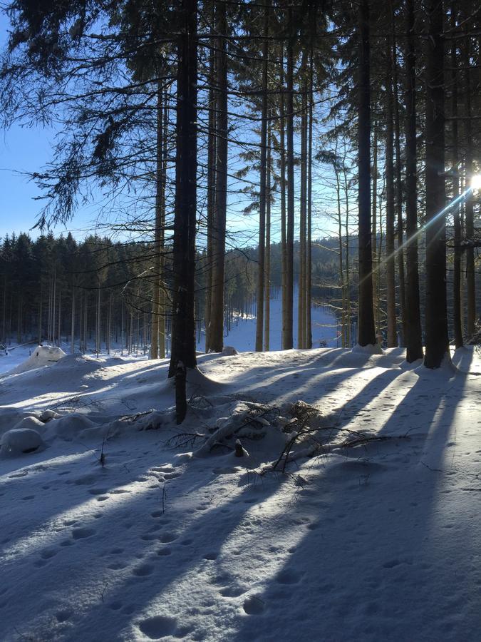 Apartmany Sportrelax Albrechtice v Jizerskych horach Exteriör bild